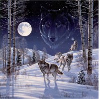 /album/fenykepeink/wolves-jpg/